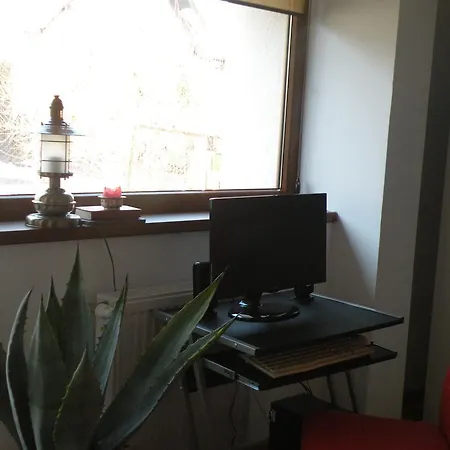 Проживание в семье Goscinne Liv Marina