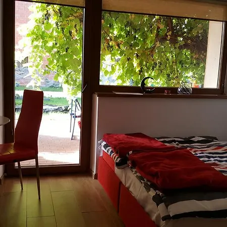 Проживание в семье Goscinne Liv Marina